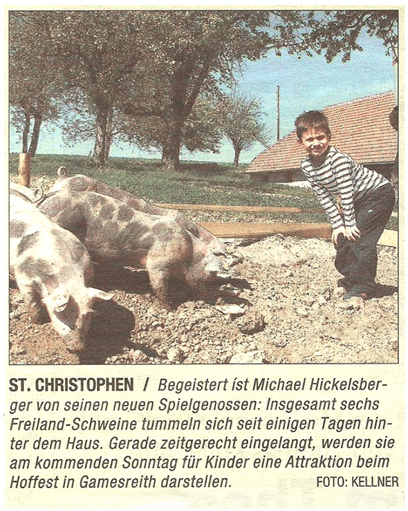 Zeitungsartikel: Freiland-Schweine